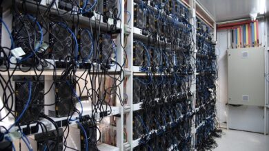 بزرگترین مزرعه غیرمجاز استخراج رمزارز ایران در فارس کشف شد