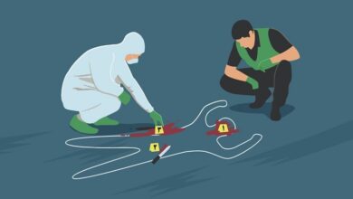 کشف استخوان های استاد دانشگاه در ارتفاعات تهران