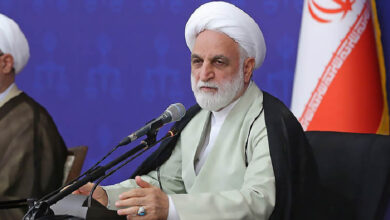 هیچ مماشاتی با عناصر اغتشاشات نشود